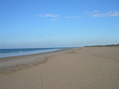 Playa Mangueta